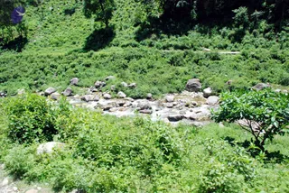 July 01 2008