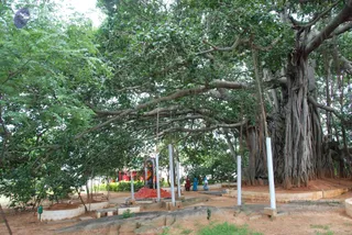 September 07 2009