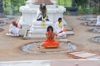 July 11 2010