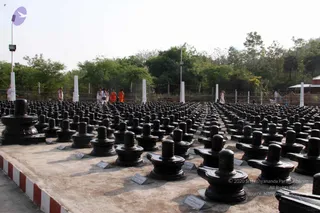May 17 2011