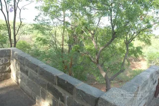 1978 - Tiruvannamalai - InnerGirivala