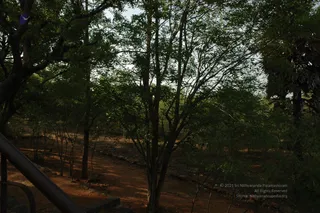 1978 - Tiruvannamalai - InnerGirivala