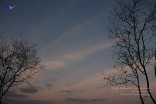 February 13 2007