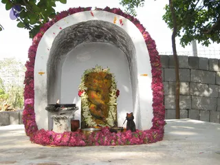 February 23 2008