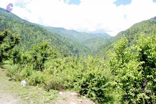 July 01 2008