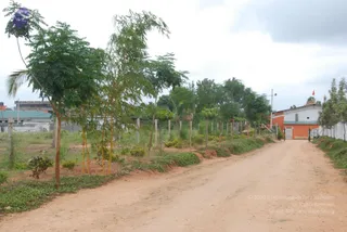 July 08 2010
