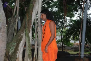 July 11 2010