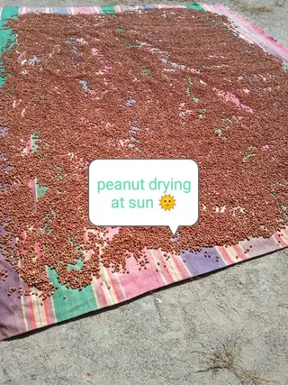 20210601 1186 192496656 FB.jpg