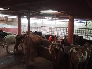 Feb 4 2022 sripuram