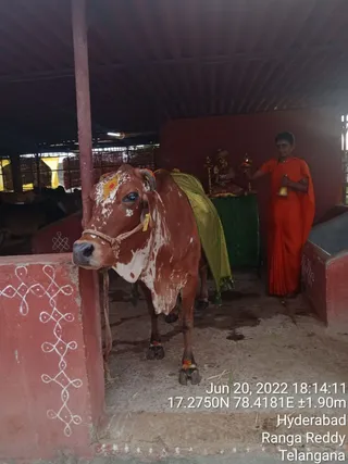 WhatsApp Image 2022-06-20 at 6.31.33 PM.jpeg