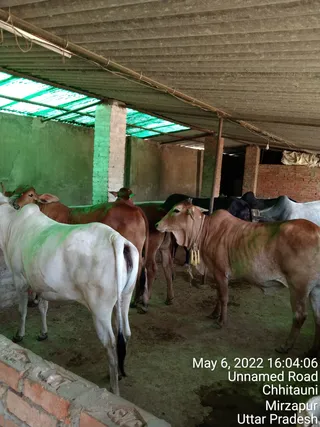 KASHI SARVAJNAPEETAM on 5/6/2022