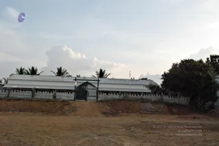 November 20 2008