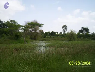 August 28 2004