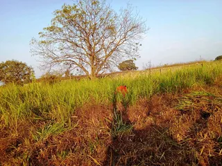 Jan 6 2022 sripuram