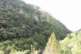 July 02 2008