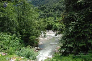 July 07 2008