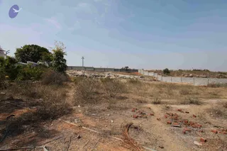February 08 2010