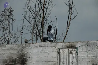 June 05 2010
