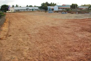 November 20 2008