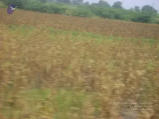 September 2006 - Sindhanur flood relief