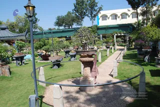 October 29 2008