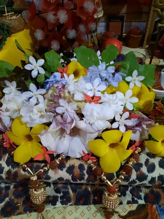 Photo 9922124
