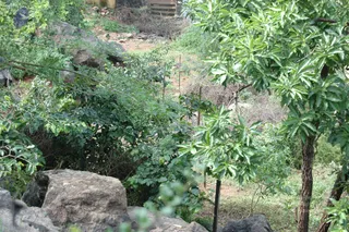 May 20 1989