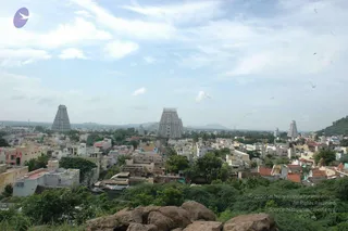 May 20 1989