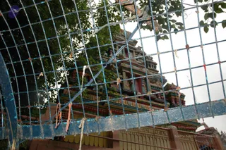 June 03 2006