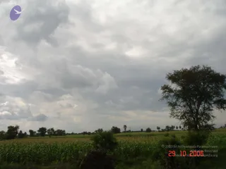 October 29 2006