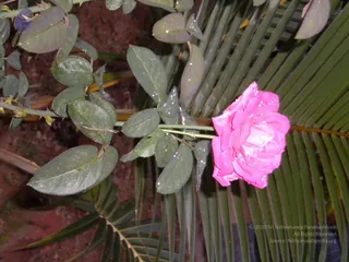 October 01 2010