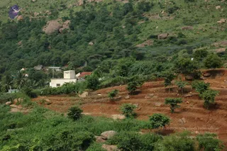 May 20 1989