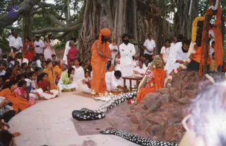 2004 - sacred collections uncategorised