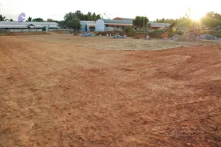 November 20 2008