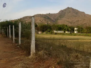 1978 - Tiruvannamalai