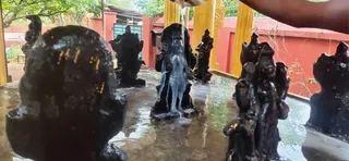 December 26 2021 sripuram Sarvajanpeetam