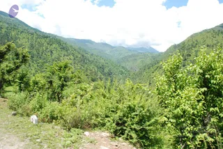 July 02 2008
