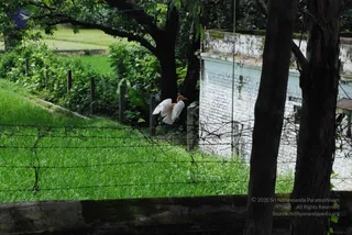 July 10 2008
