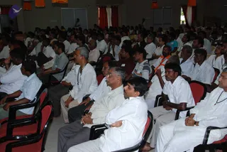 July 11 2010