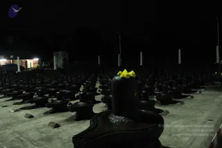 September 08 2011
