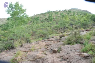 August 03 2008