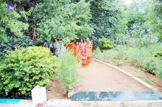 June 12 2010