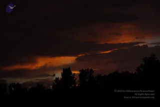 August 10 2011