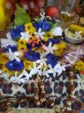 Photo 9922402