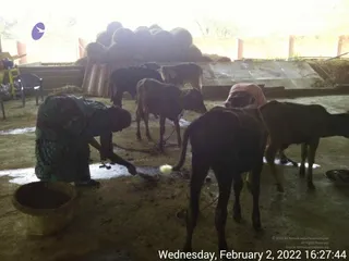 February 02 2022