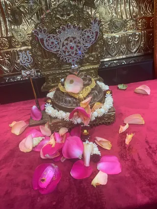 KAILASA HOUSTON, USA on 3/16/2022