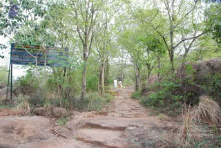 August 03 2008
