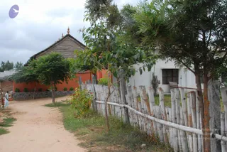 July 08 2010