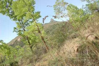 1978 - Tiruvannamalai - InnerGirivala