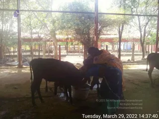 March 29 2022